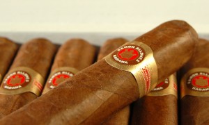 rass-625p